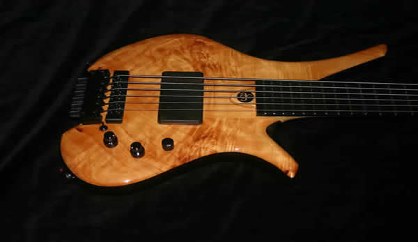 Salace 6. (Headless)